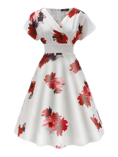 Ladies Dress